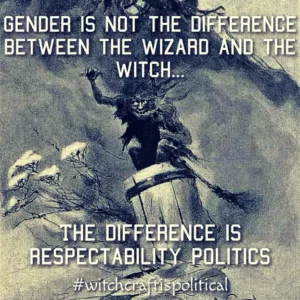 Image of baba yaga flying in a mortar pestel. Says: Gender is not the difference between the wizard and the witch... The difference is respectability politics #witchcraftispolitical